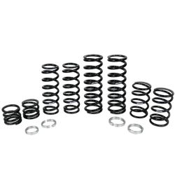 Polaris RZR Turbo S 4 Stage 1 Dual Rate Spring Kit (Fox Live Valve Shock)