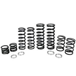 Polaris RZR Turbo S 4 Stage 1 Dual Rate Spring Kit (W.E. Velocity Shock)